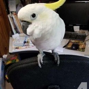 Meet your Posher, Colby